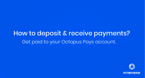 How to get paid to Octopus Pays account How to receive payments to Octopus Pays account