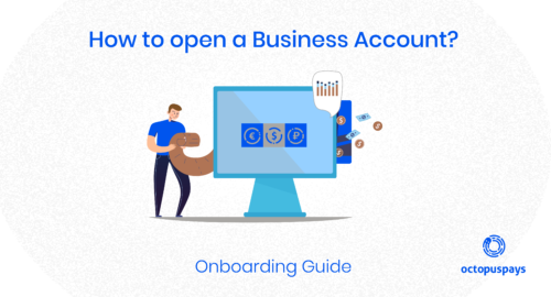 Octopus Pays onboarding guide How to open business account
